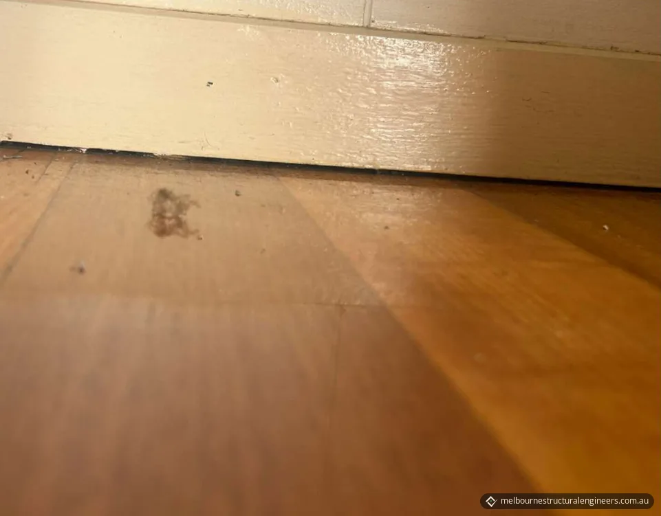 Gap between a timber floor and the underside of a painted skirting board